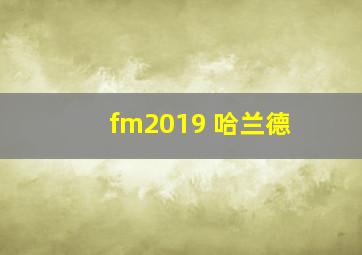 fm2019 哈兰德